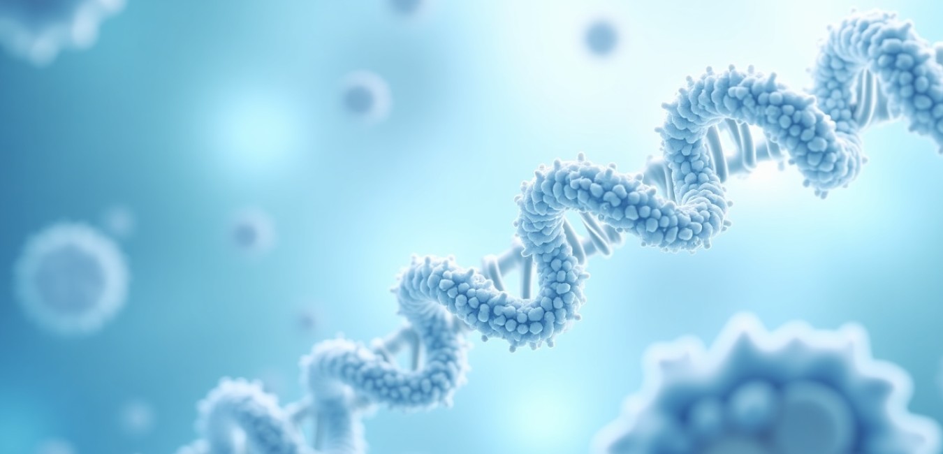 Faza wzrostu bakterii kluczem do skuteczności antybiotyków